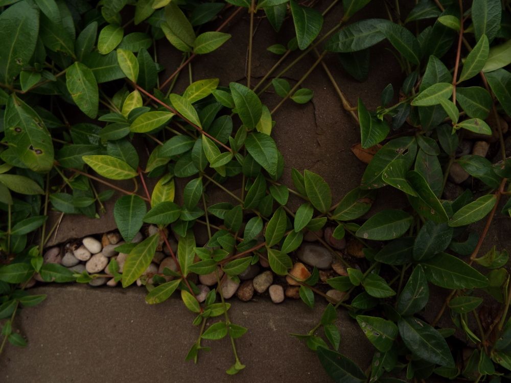 Фотография автора Анастасия Шафоростова