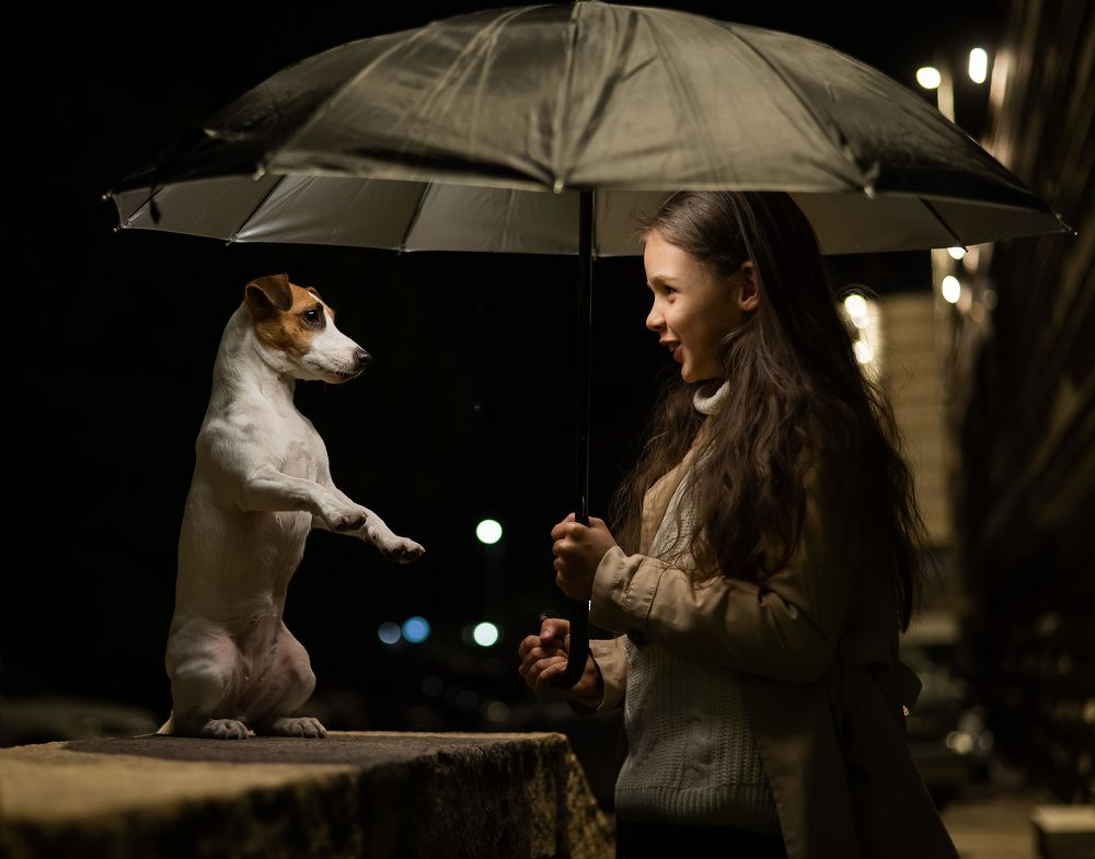 Photograph by Михаил Решетников