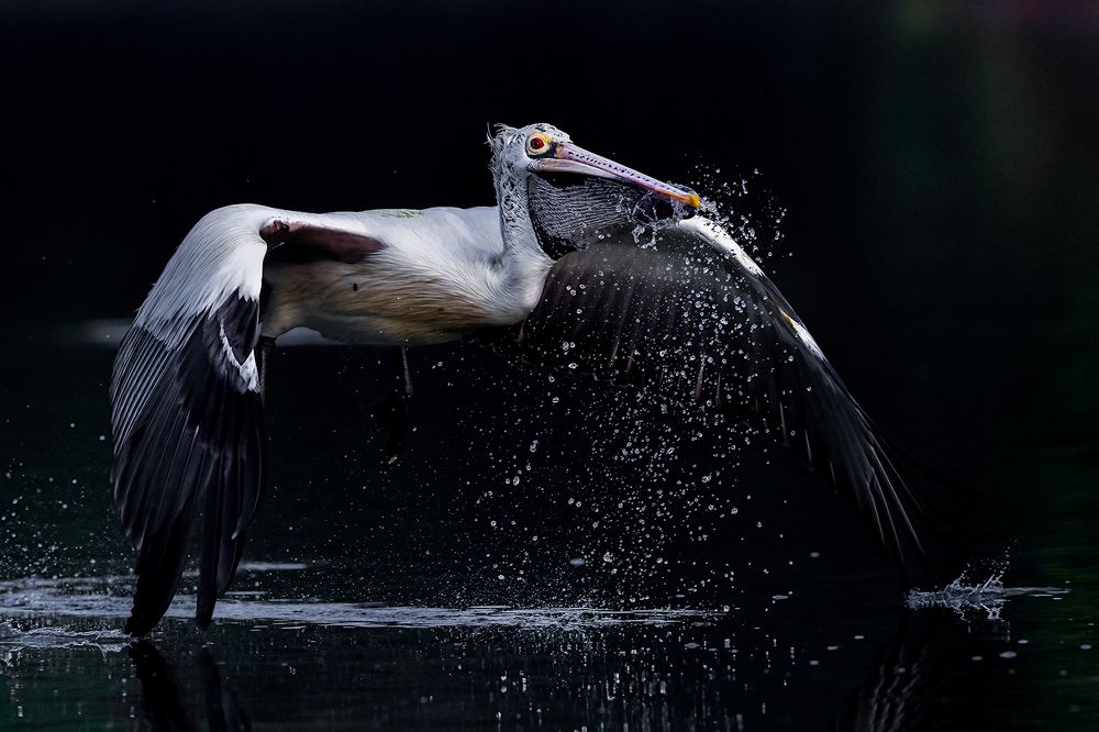 Photograph by Sandeep Dutta