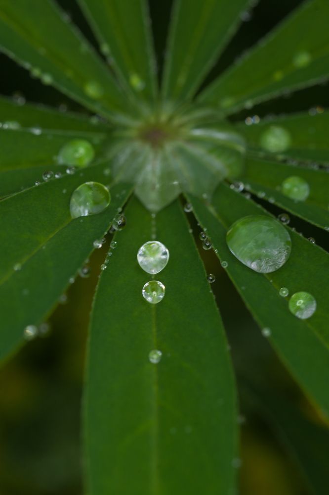 Photograph by Денис Дорошенко