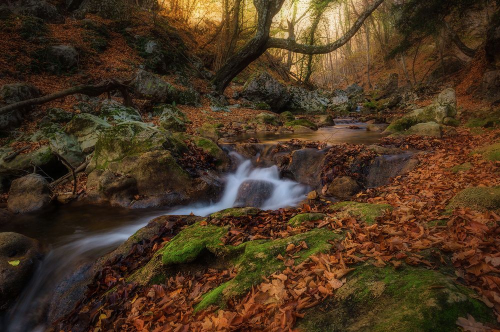 Photograph by Владимир Яковлев