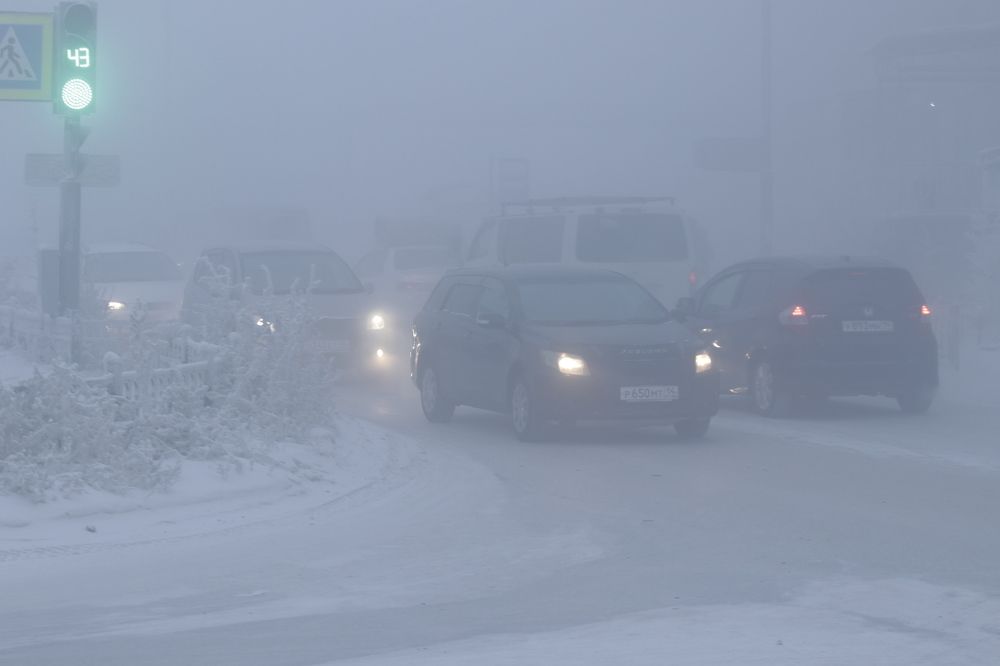 Photograph by Александр Велигура