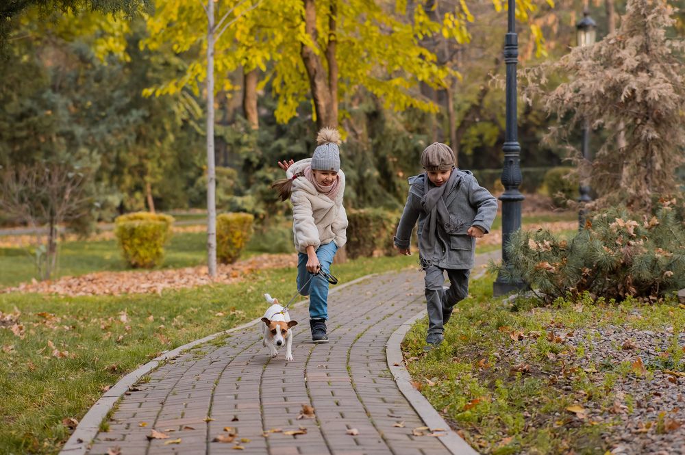 Photograph by Михаил Решетников