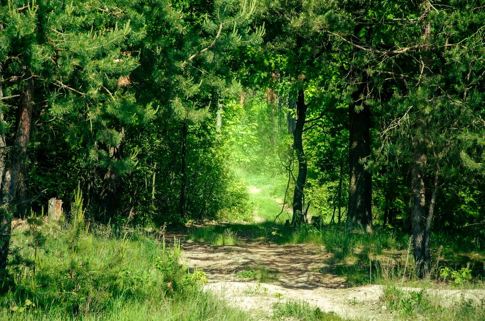 Фотография автора Анастасия Роговцова