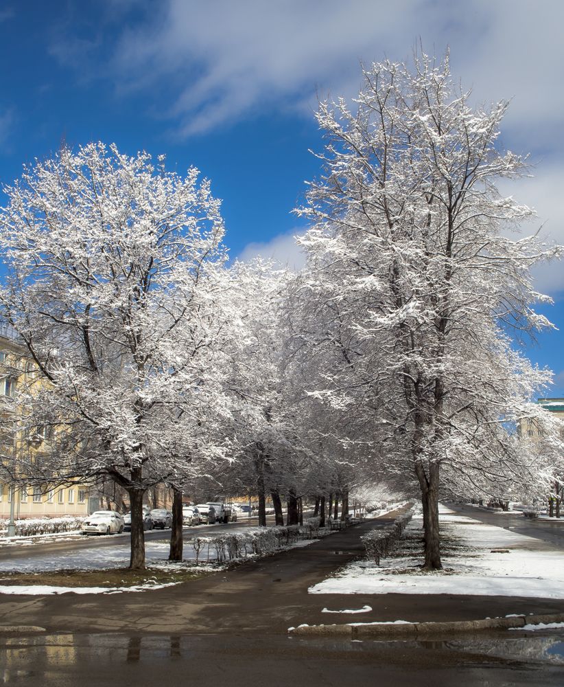 Photograph by Панюшкин Андрей