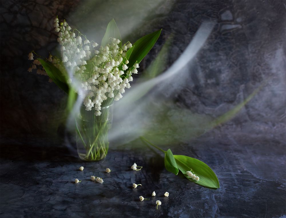 Photograph by Наталия Колтакова