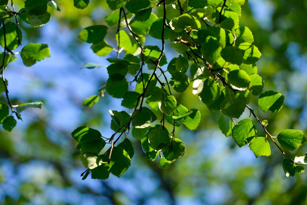 Фотография автора Olga Mendosa