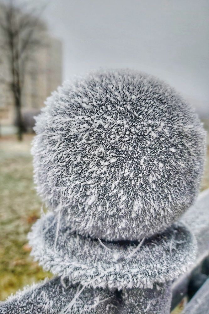 Фотография автора Алёна Михайлова