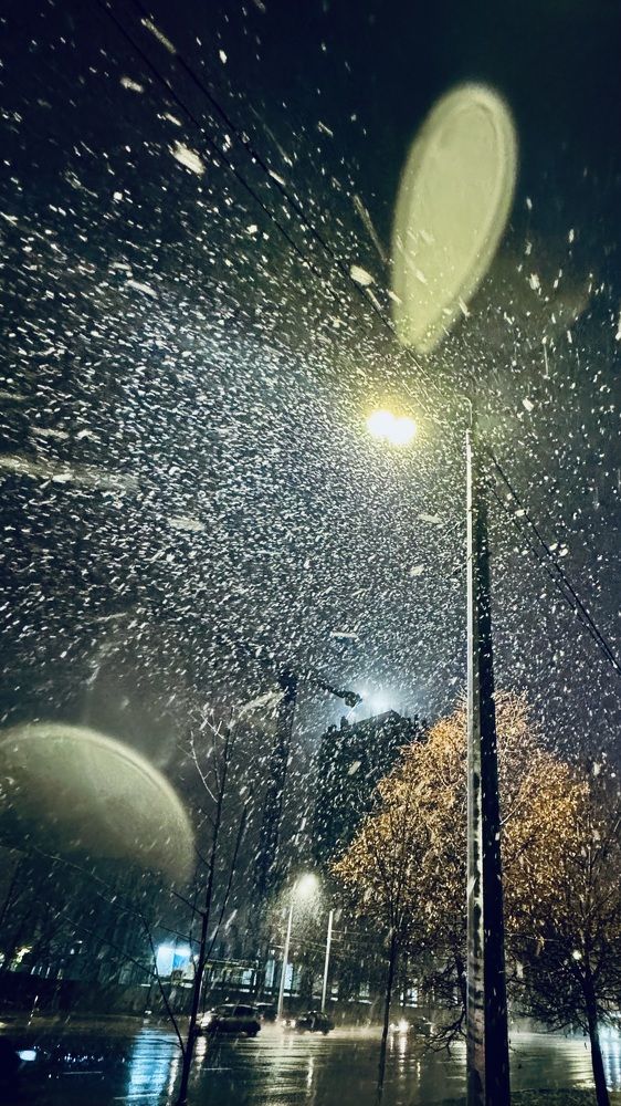 Фотография автора Ксения Абрамова