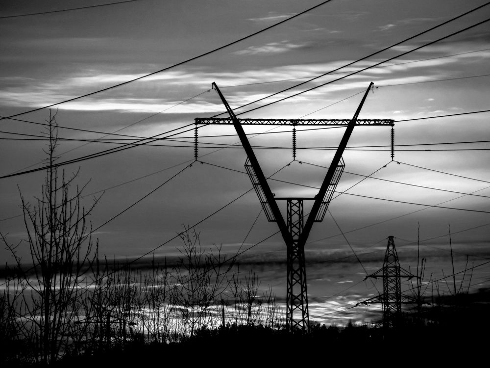 Photograph by Любовь Бусова