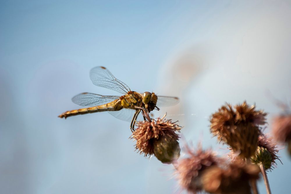 Photograph by Любовь Бусова