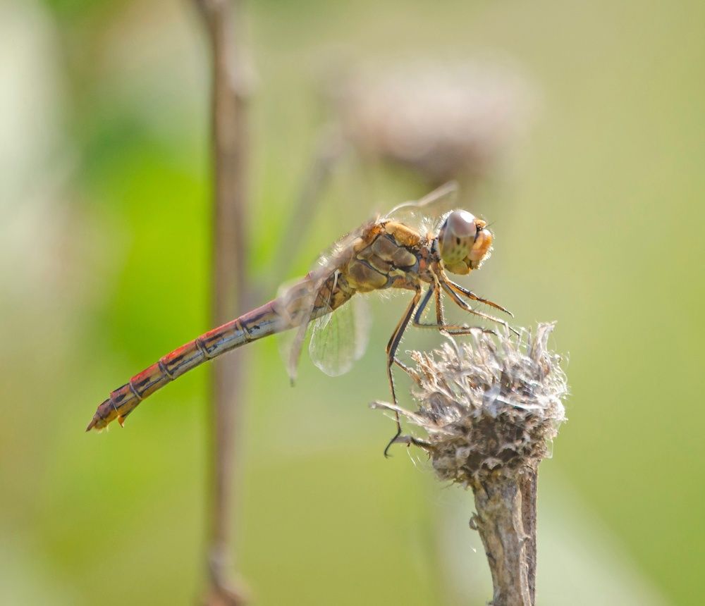 Photograph by Любовь Бусова