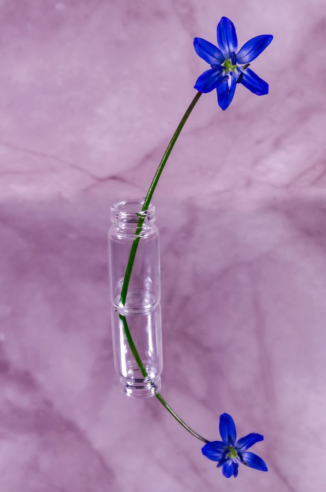 Photograph by Любовь Бусова