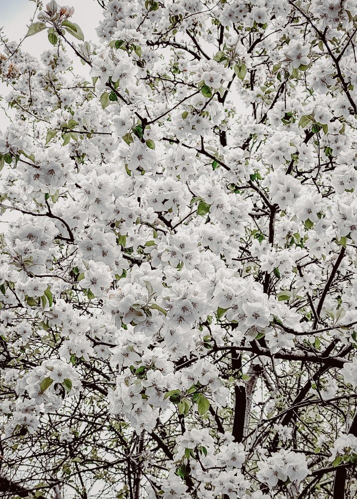 Photograph by Ксения Гулькова