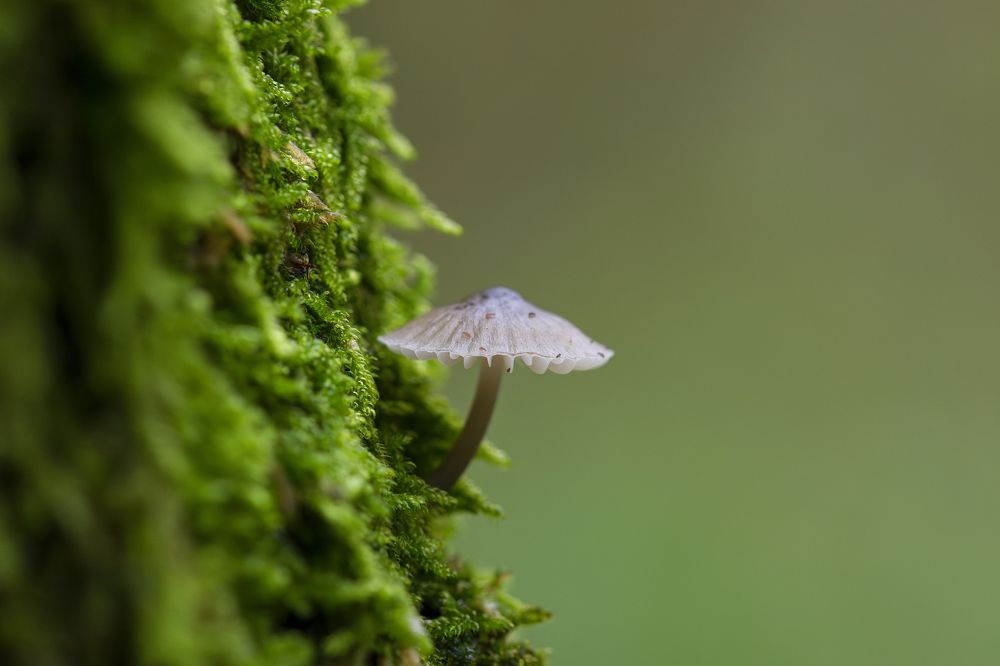 Photograph by Camilla Zocchi