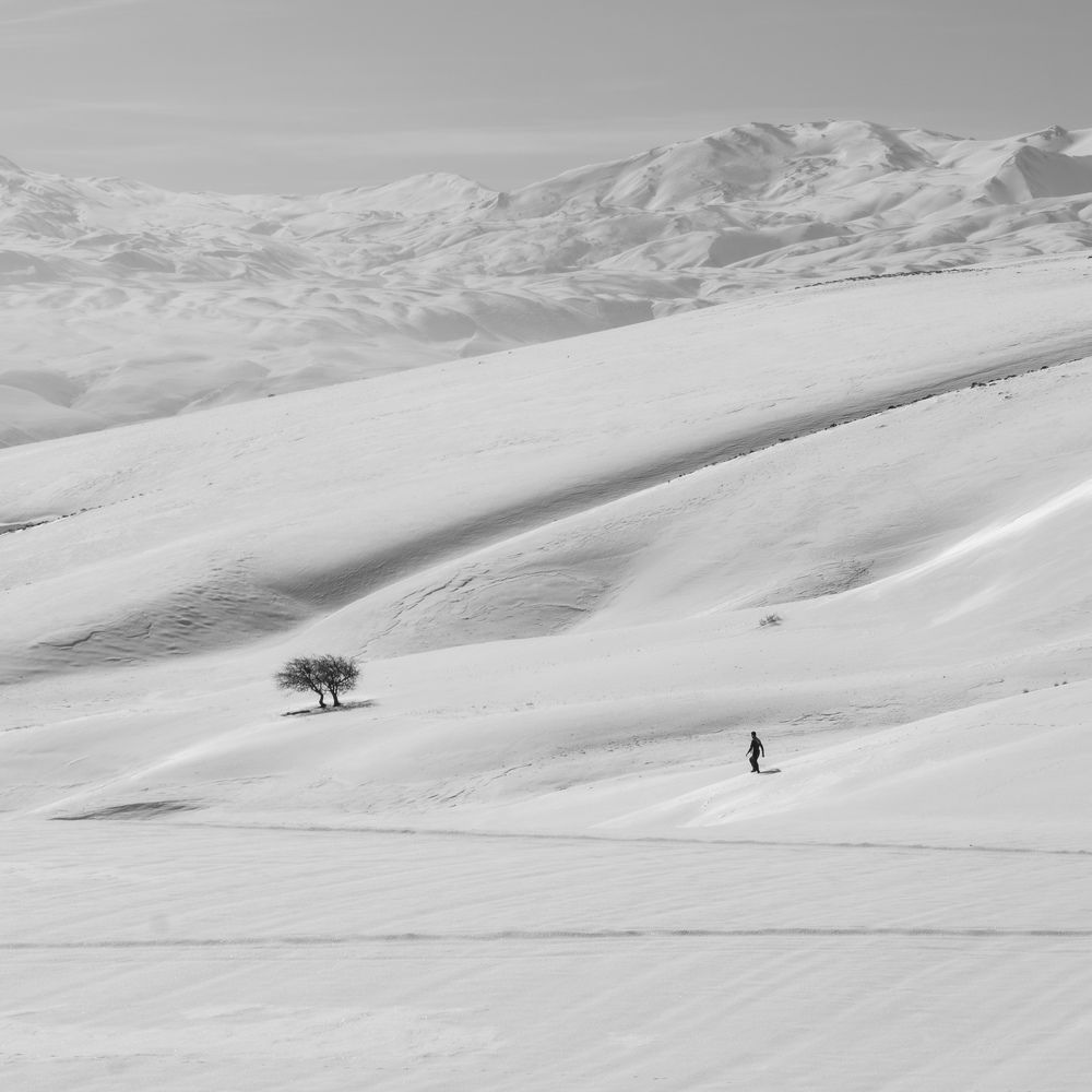 Photograph by mohammad Alipour