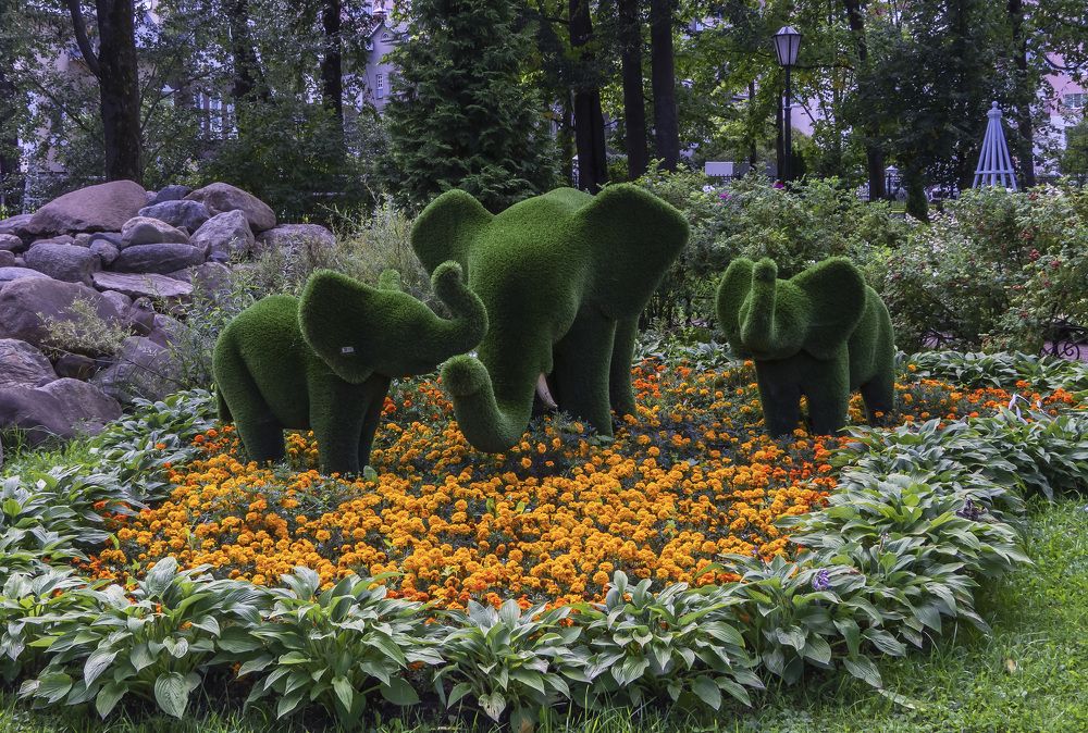 Photograph by Цветков Сергей