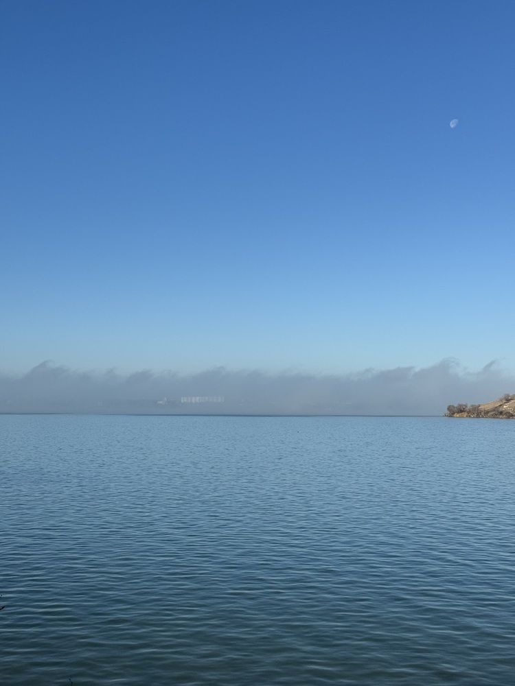 Photograph by Бойкова Наталия