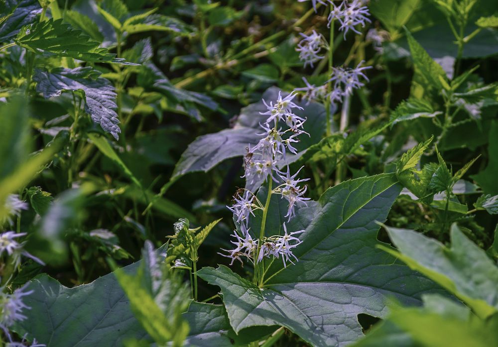 Photograph by Цветков Сергей