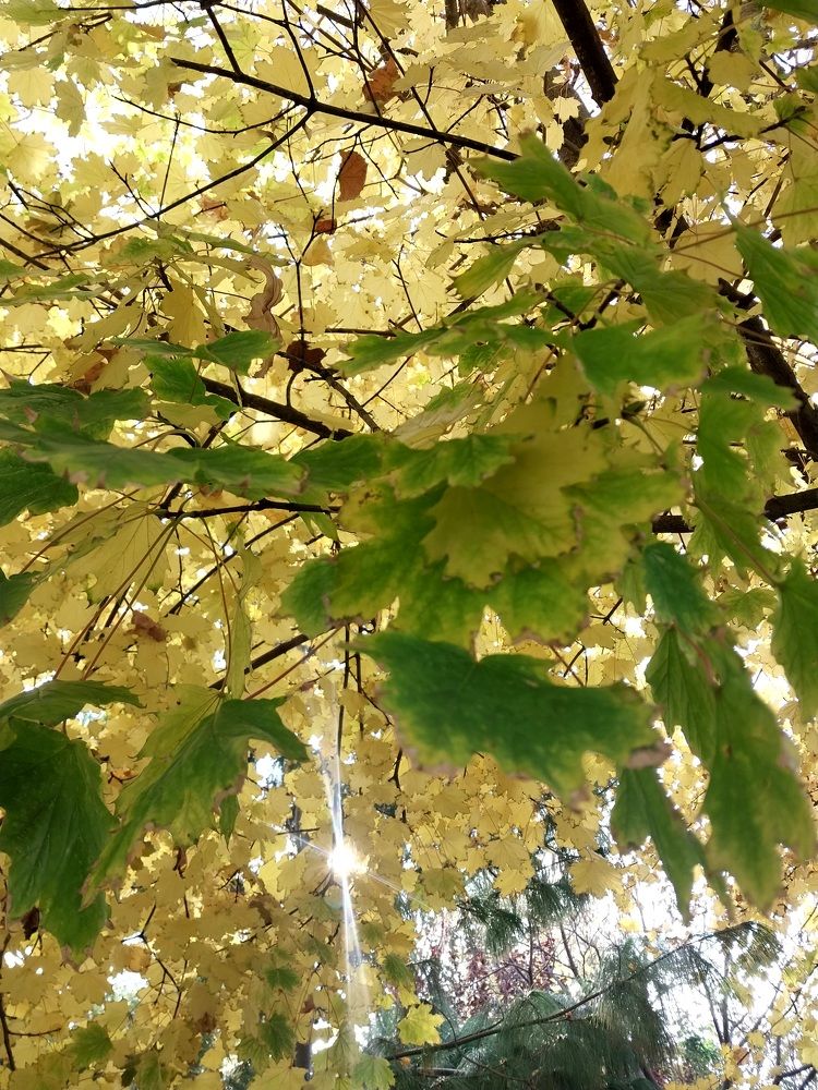 Photograph by Бойкова Наталия