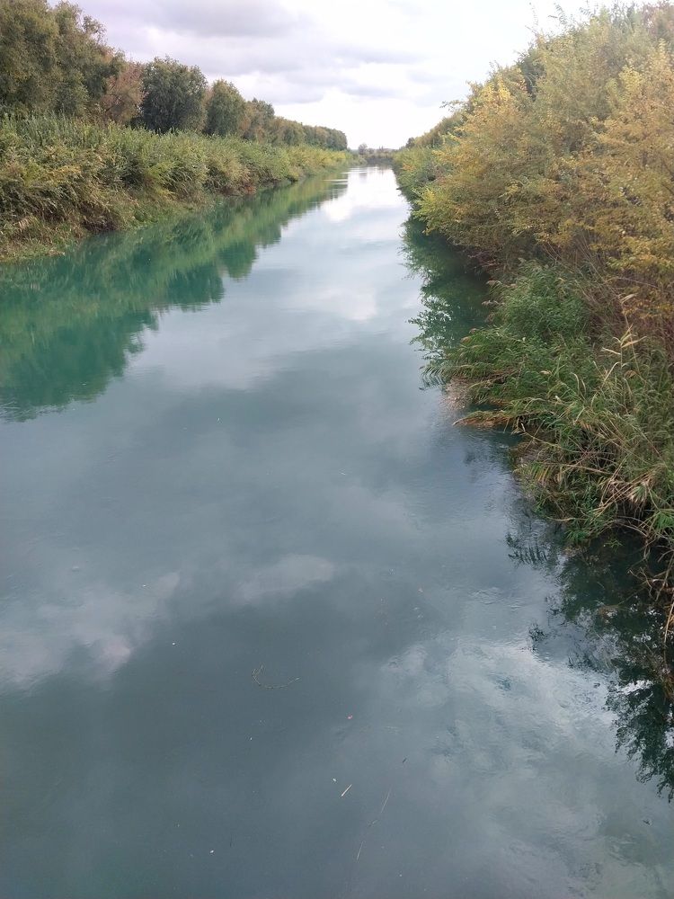 Photograph by Бойкова Наталия