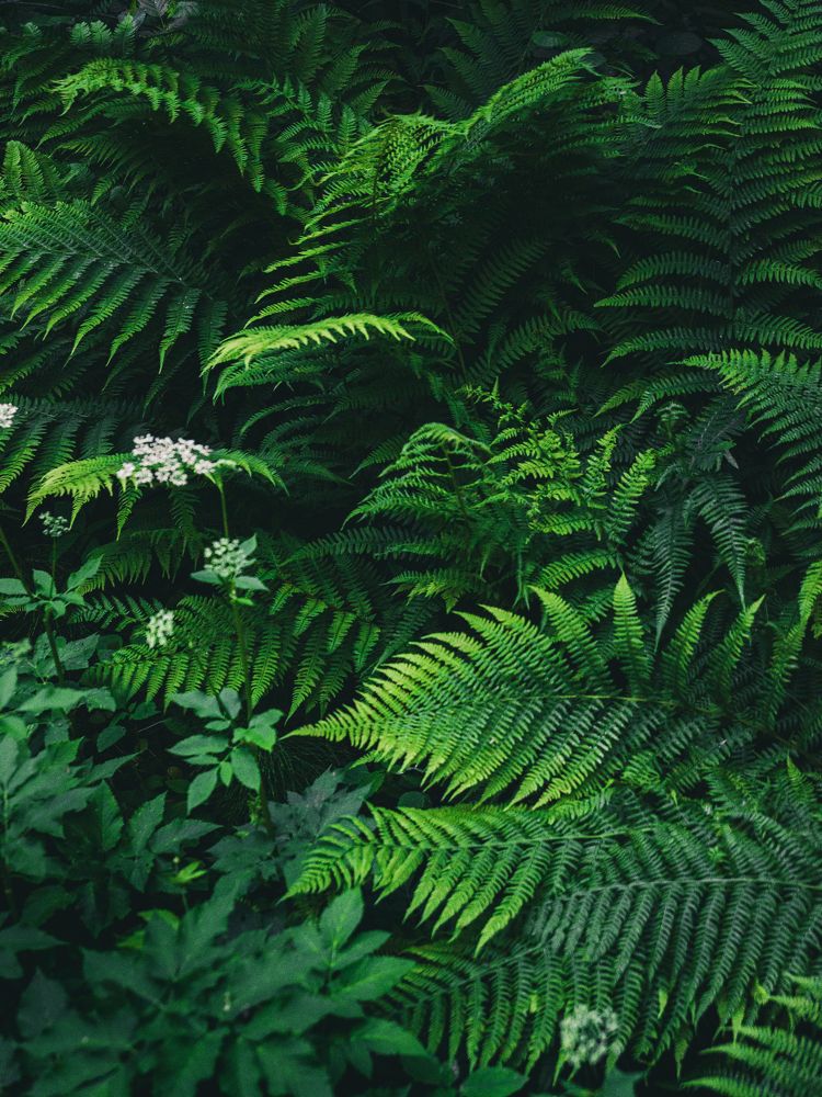 Фотография автора Павел Арсеев