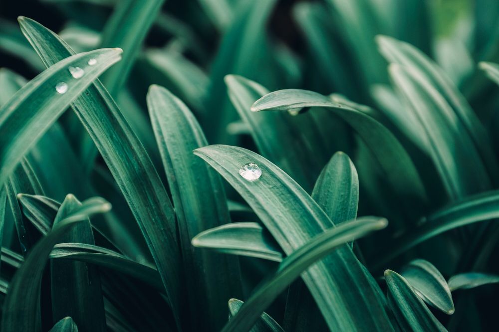 Фотография автора Павел Арсеев