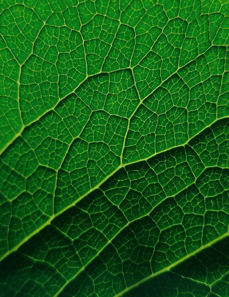 Photograph by Татьяна Гулакова