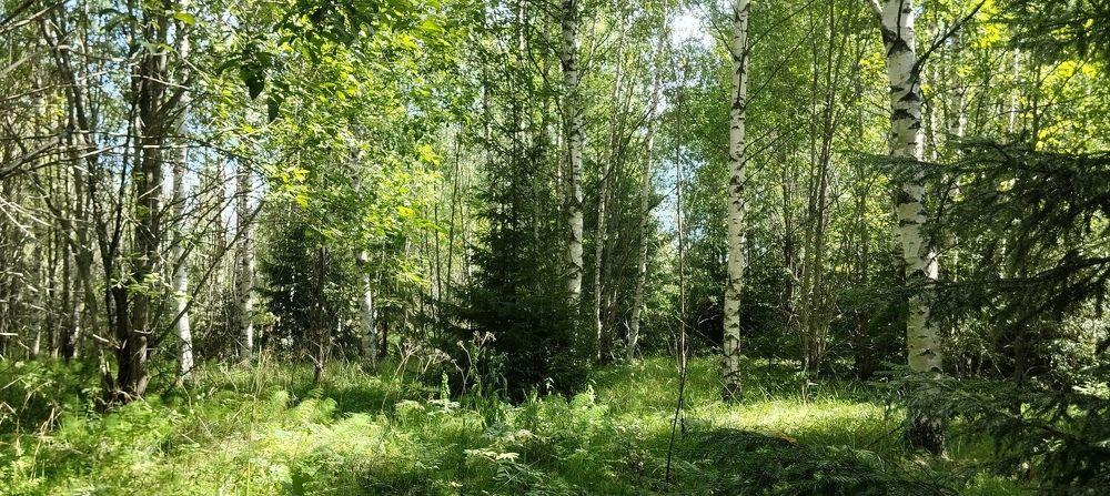 Photograph by Елена Малкова