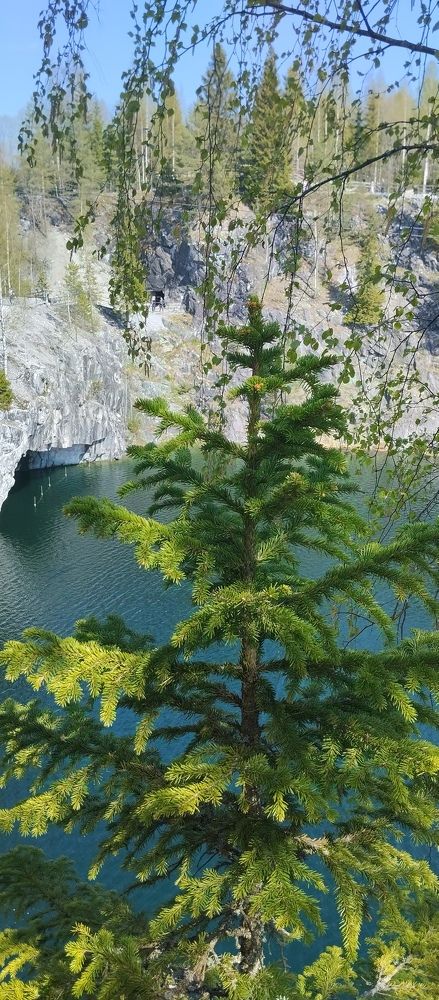 Фотография автора Елена Малкова