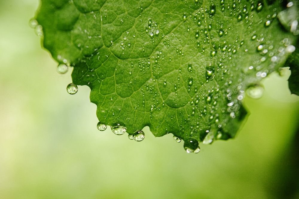 Photograph by Fábio Martins