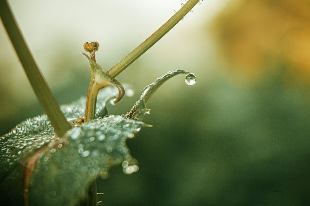 Photograph by Fábio Martins