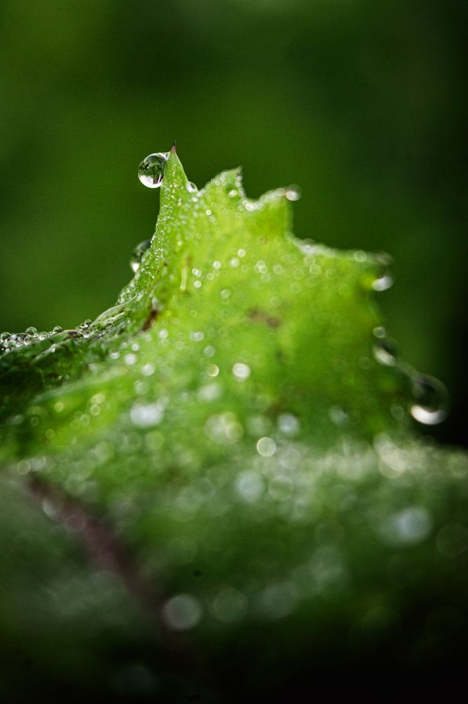 Photograph by Fábio Martins