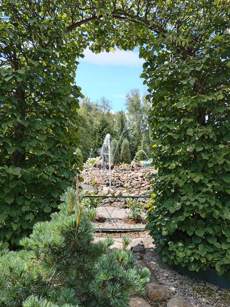 Photograph by Юлия Лихачева