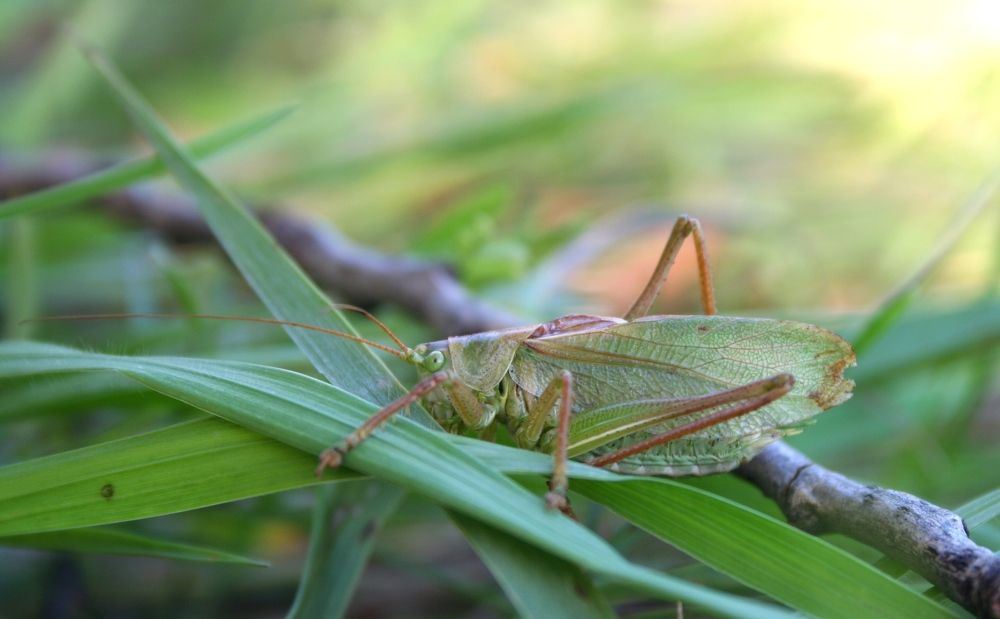 Photograph by Панюшкин Андрей