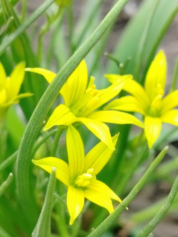 Photograph by Зульфия Набиуллина