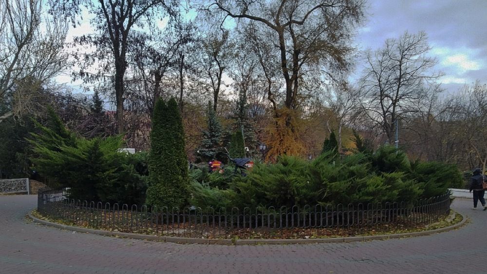 Photograph by Никита Тымко