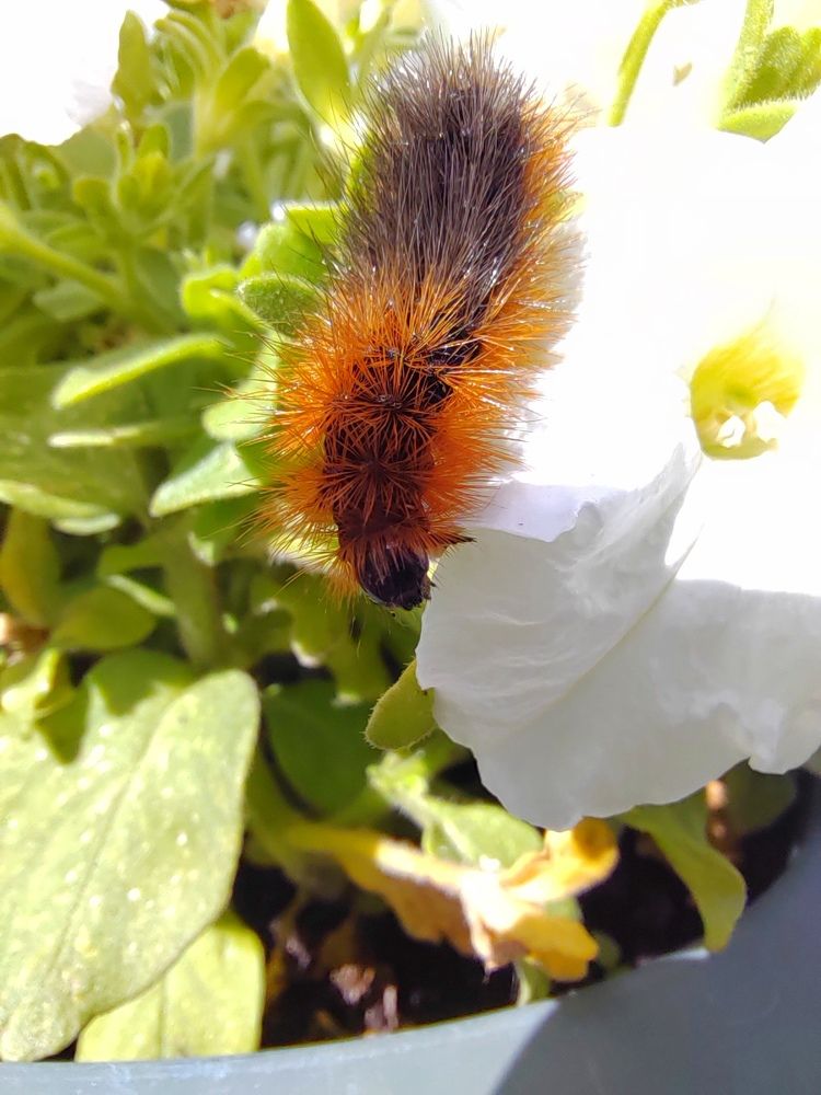 Photograph by Серёга Ануфриев