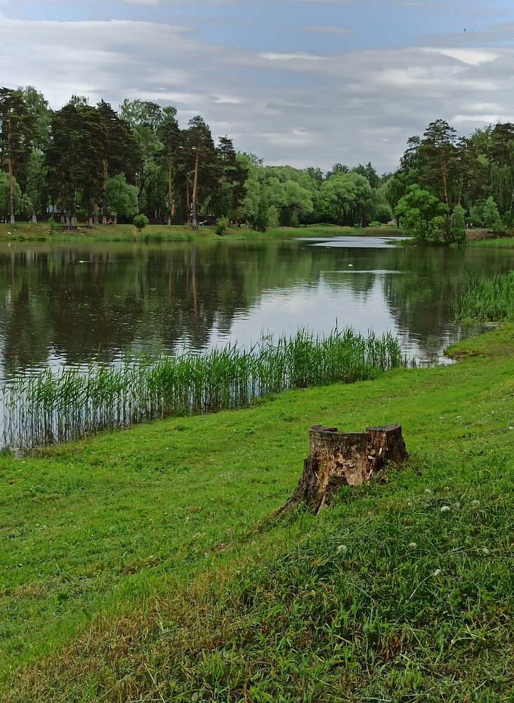 Photograph by Ляля Ильинская