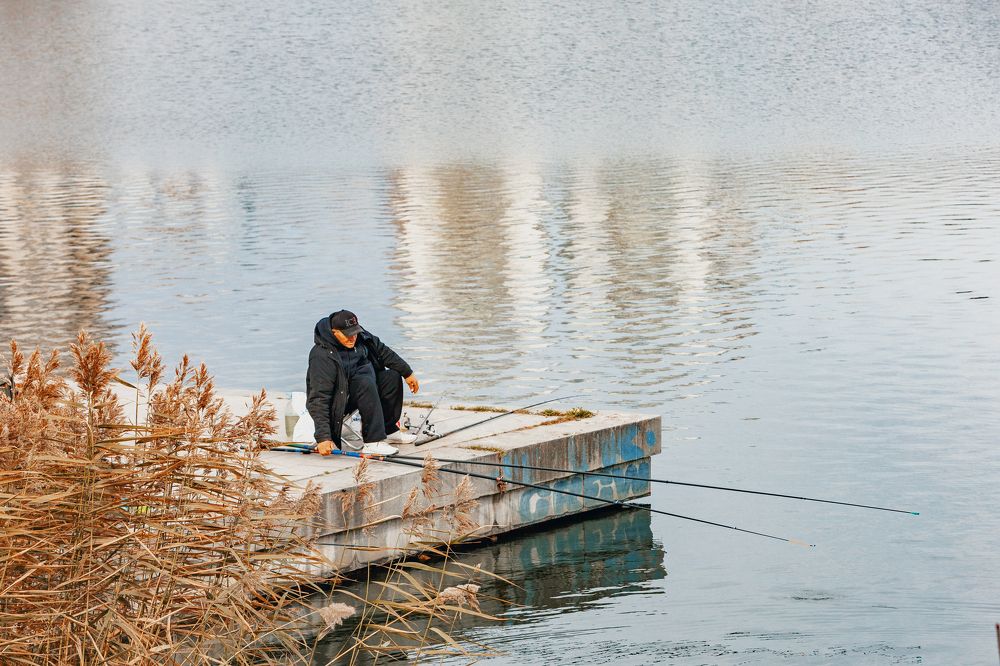 Photograph by Алексей Заикин