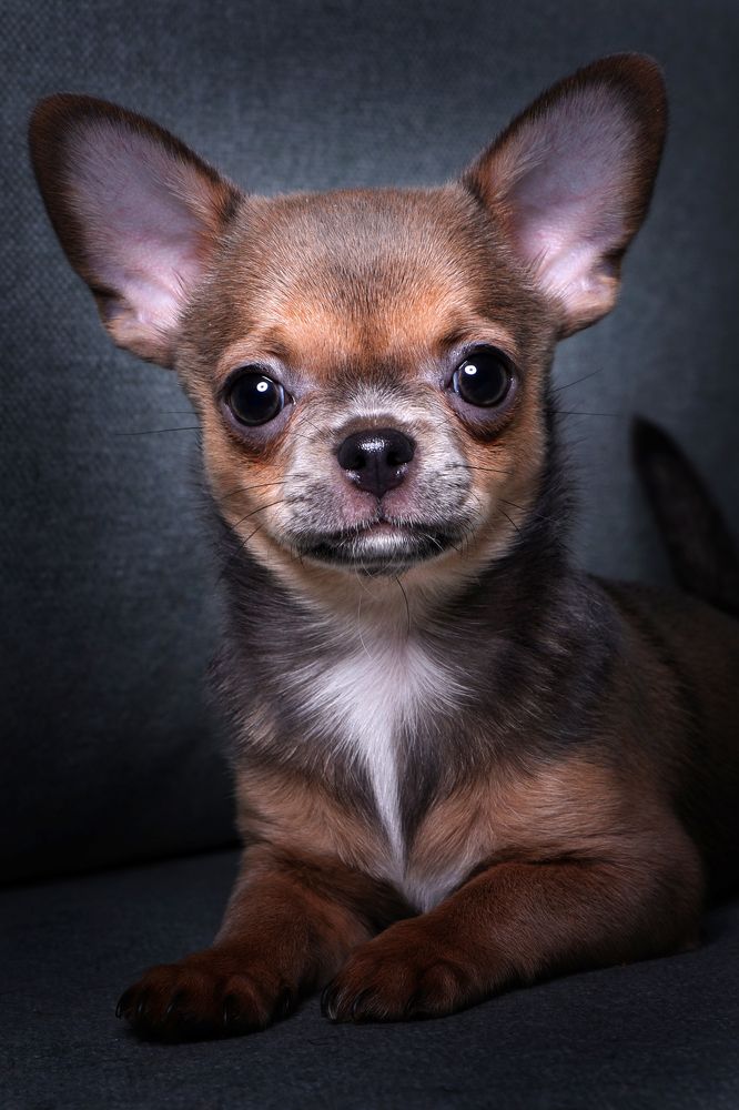 Photograph by Елена Лапочкина