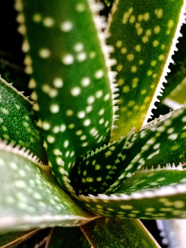 Photograph by Наталья Москвина