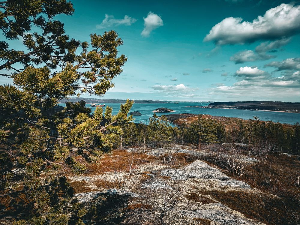 Photograph by Владимир Добрыйвечер