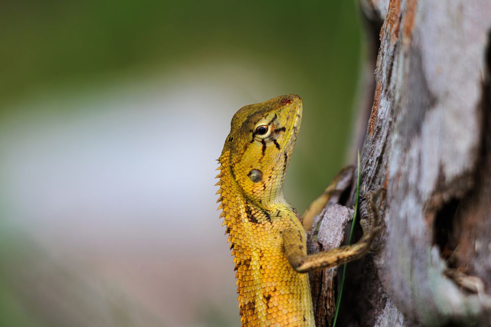 Photograph by Илья Кулаков