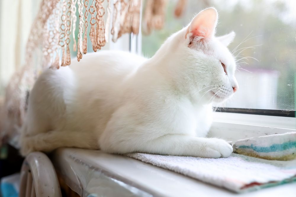 Photograph by Переверзева Татьяна