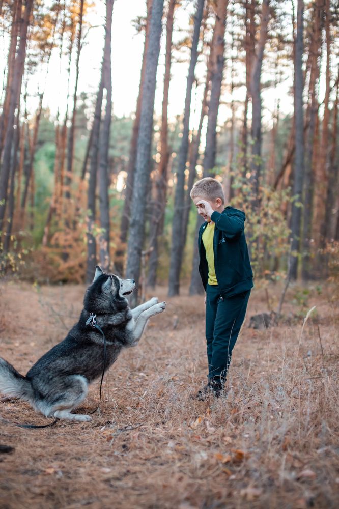 Photograph by Анопченко Ирина