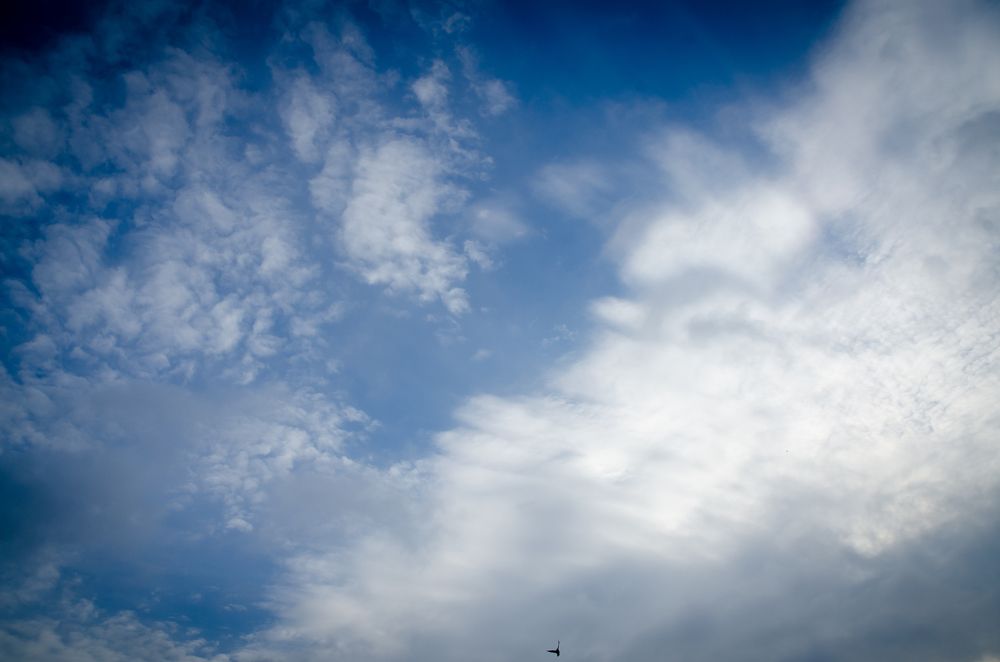 Photograph by Mishel Photographer