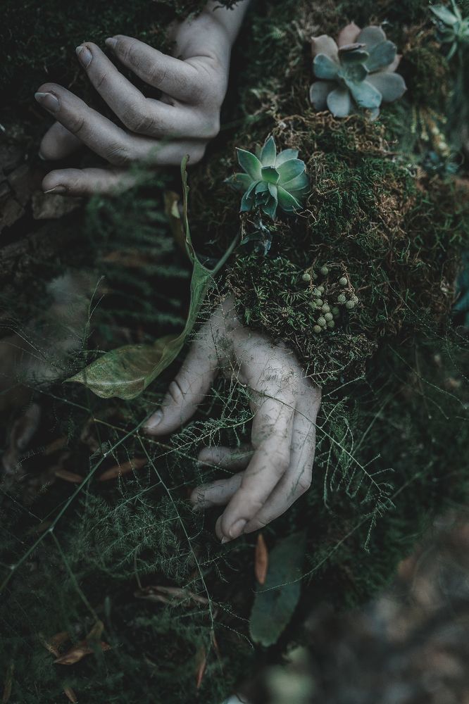 Photograph by Вероника Гергерт