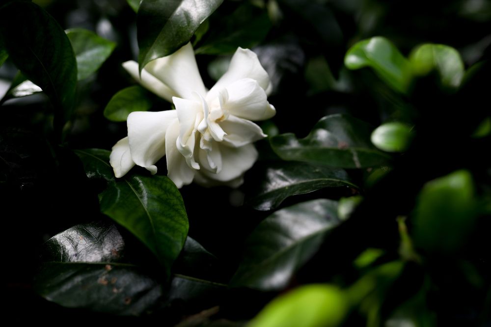 Photograph by Переверзева Татьяна