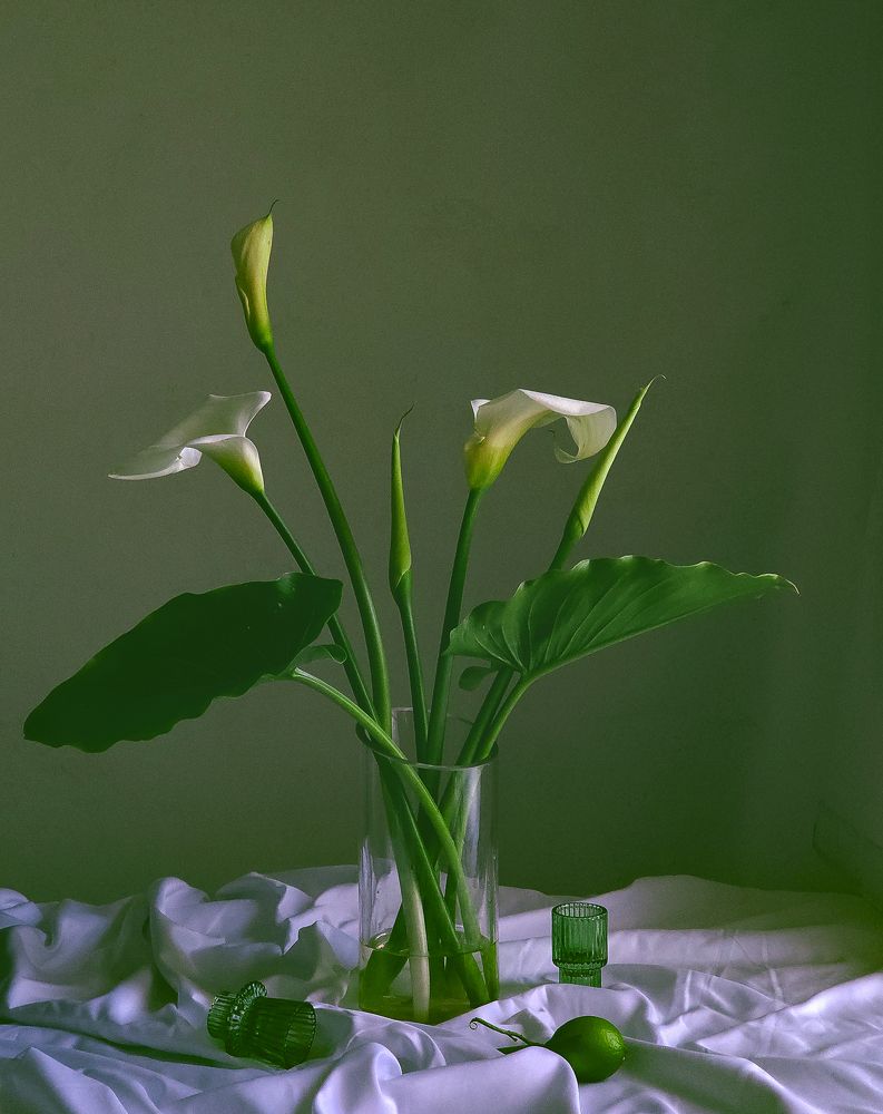 Photograph by Alexandra Sergeeva